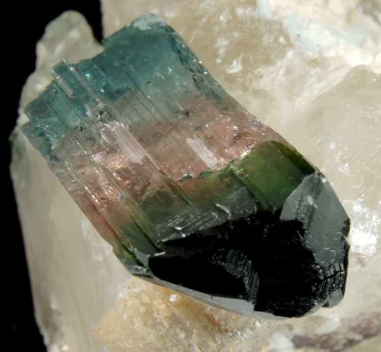 Elbaite Tourmaline (polychrome) in Quartz from Barra do Salinas, Coronel Murta, Minas Gerais, Brazil