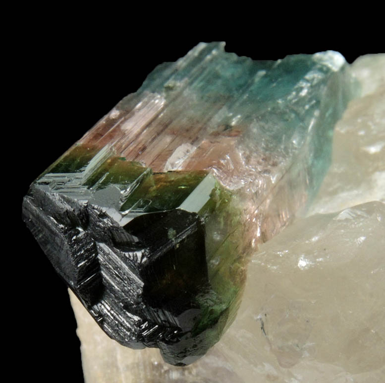 Elbaite Tourmaline (polychrome) in Quartz from Barra do Salinas, Coronel Murta, Minas Gerais, Brazil