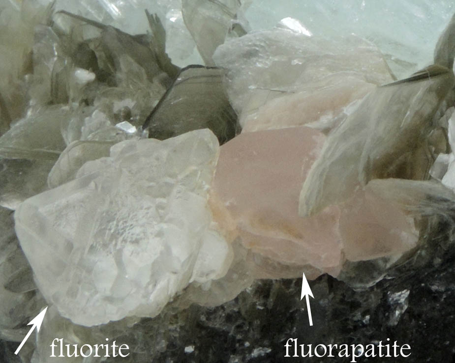 Beryl var. Aquamarine on Muscovite with Fluorapatite and Fluorite from Chumar Bakhoor, Nagar, Gilgit-Baltistan, Pakistan