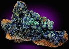 Azurite with Malachite from Concepcin del Oro, Zacatecas, Mexico