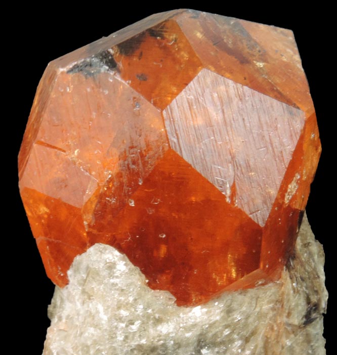 Spessartine Garnet on Muscovite from Nani, near Loliondo, Arusha, Tanzania