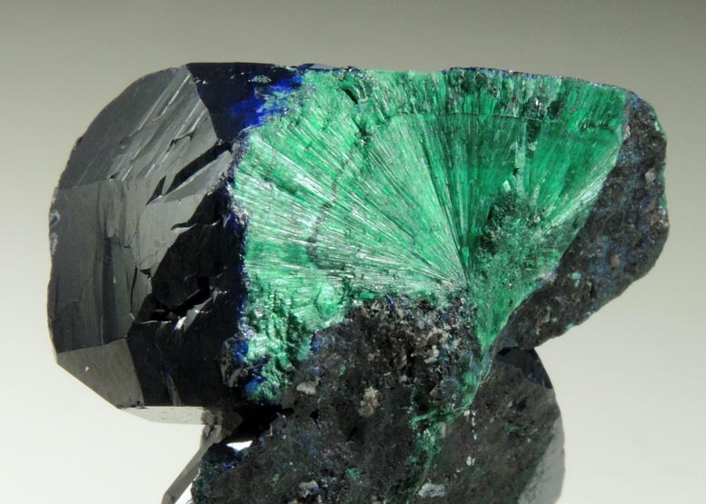 Azurite with fibrous Malachite cores from New Cornelia Mine, Ajo, Pima County, Arizona
