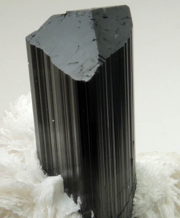 Schorl Tourmaline on Albite from Shigar Valley, Skardu District, Baltistan, Gilgit-Baltistan, Pakistan