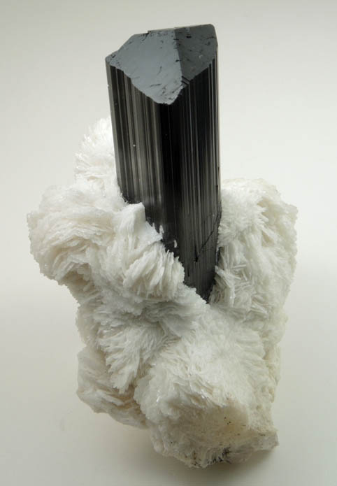 Schorl Tourmaline on Albite from Shigar Valley, Skardu District, Baltistan, Gilgit-Baltistan, Pakistan