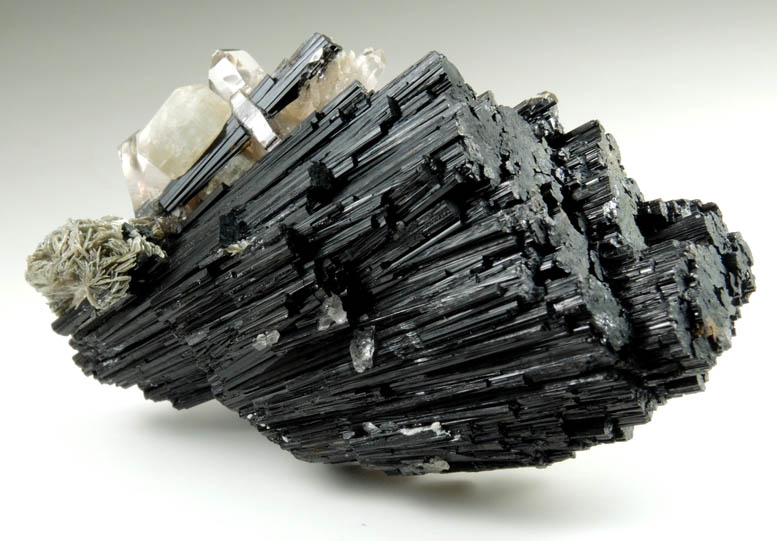 Schorl Tourmaline with Quartz, Muscovite, Fluorapatite from Clarks Valley, east of Minkler, Fresno County, California