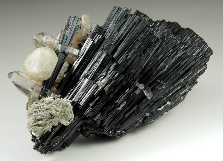 Schorl Tourmaline with Quartz, Muscovite, Fluorapatite from Clarks Valley, east of Minkler, Fresno County, California