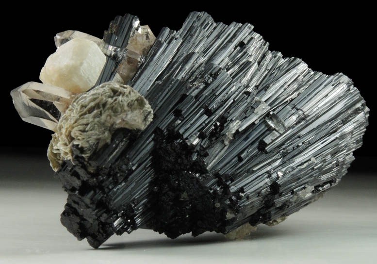 Schorl Tourmaline with Quartz, Muscovite, Fluorapatite from Clarks Valley, east of Minkler, Fresno County, California