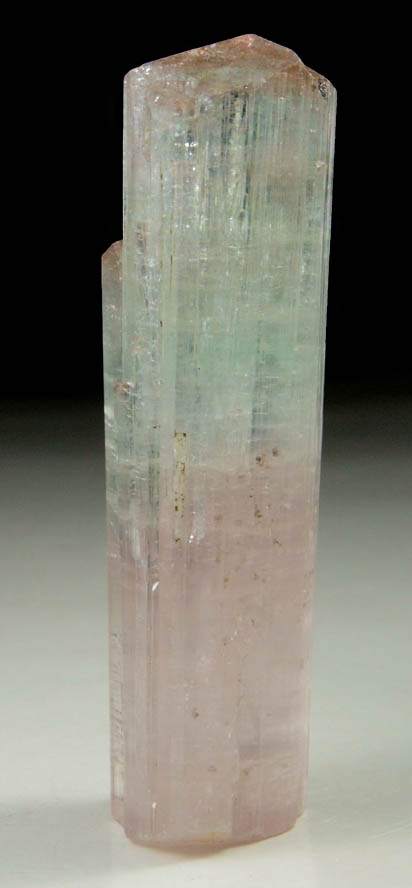 Elbaite Tourmaline (bi-colored) from Paprok, Kamdesh District, Nuristan Province, Afghanistan