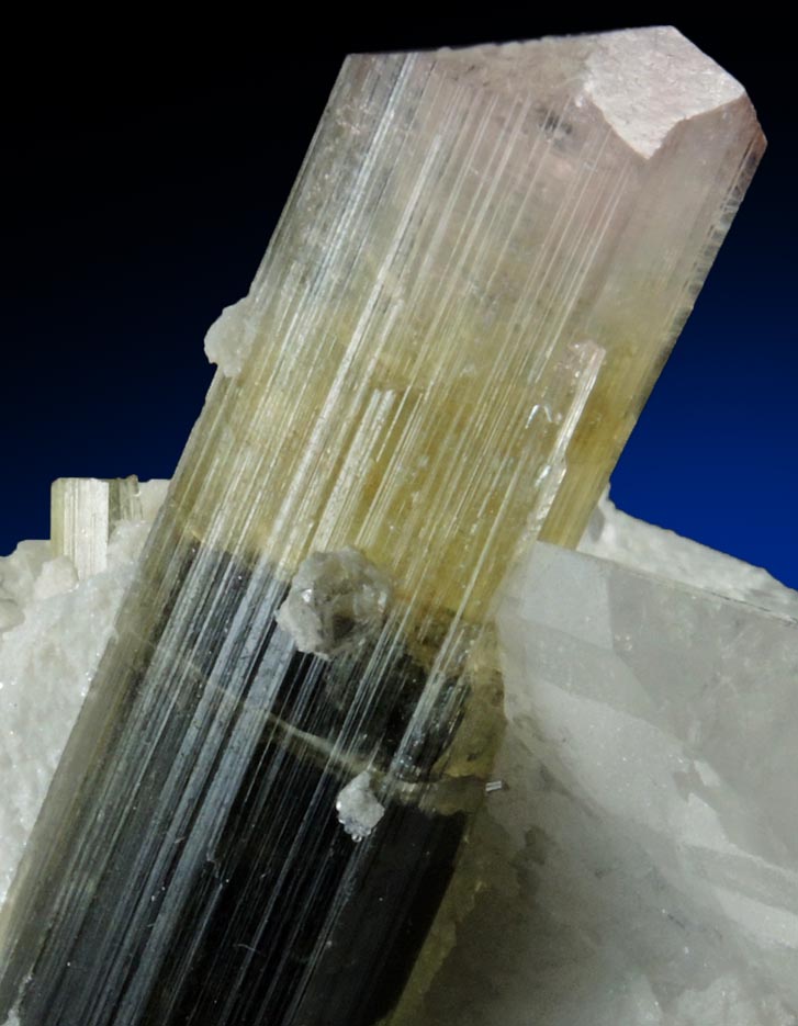 Elbaite Tourmaline in Quartz from Stak Nala, Skardu Road, Baltistan, Gilgit-Baltistan, Pakistan