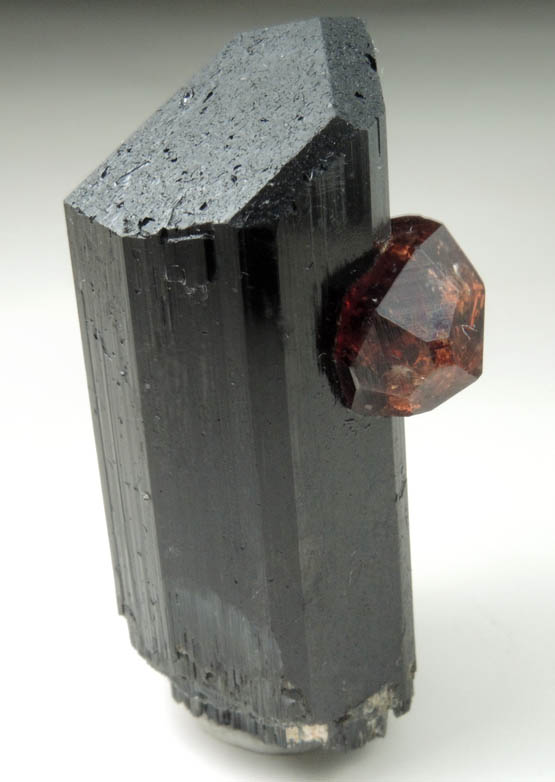 Spessartine Garnet on Schorl Tourmaline from Chilas, Diamer District, Gilgit-Baltistan, Pakistan