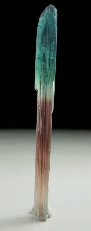 Elbaite Tourmaline (bi-colored) from Barra do Salinas, Coronel Murta, Minas Gerais, Brazil