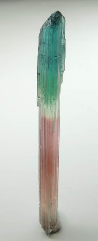 Elbaite Tourmaline (bi-colored) from Barra do Salinas, Coronel Murta, Minas Gerais, Brazil