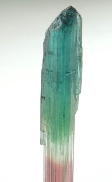 Elbaite Tourmaline (bi-colored) from Barra do Salinas, Coronel Murta, Minas Gerais, Brazil