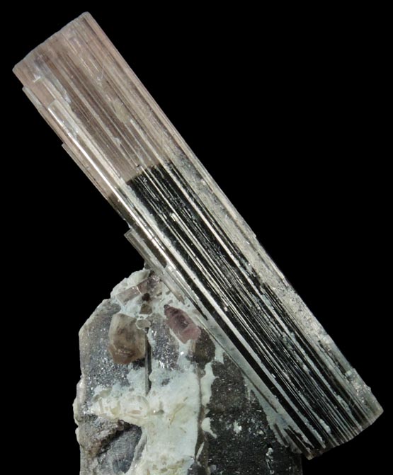 Elbaite Tourmaline on Quartz with Albite from Paprok, Kamdesh District, Nuristan Province, Afghanistan