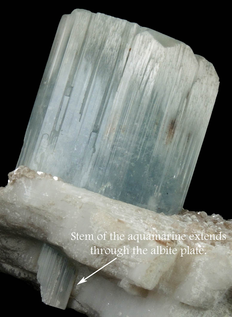 Beryl var. Aquamarine with Muscovite on Albite from Raikot, Chilas, Diamer District, Gilgit-Baltistan, Pakistan