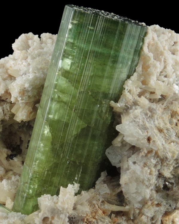 Elbaite Tourmaline in Albite var. Cleavelandite from Mina do Urubu, Itinga, Minas Gerais, Brazil