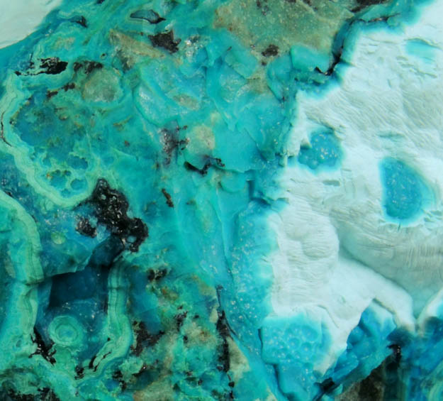 Chrysocolla from Inspiration Mine, Globe-Miami District, Gila County, Arizona