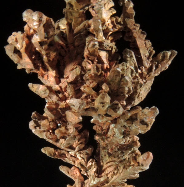 Copper (naturally crystallized native copper) from Emke Mine, Onganja, Seeis, Khomas, Namibia