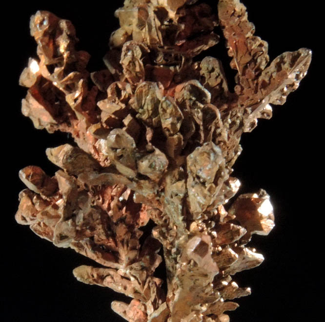 Copper (naturally crystallized native copper) from Emke Mine, Onganja, Seeis, Khomas, Namibia