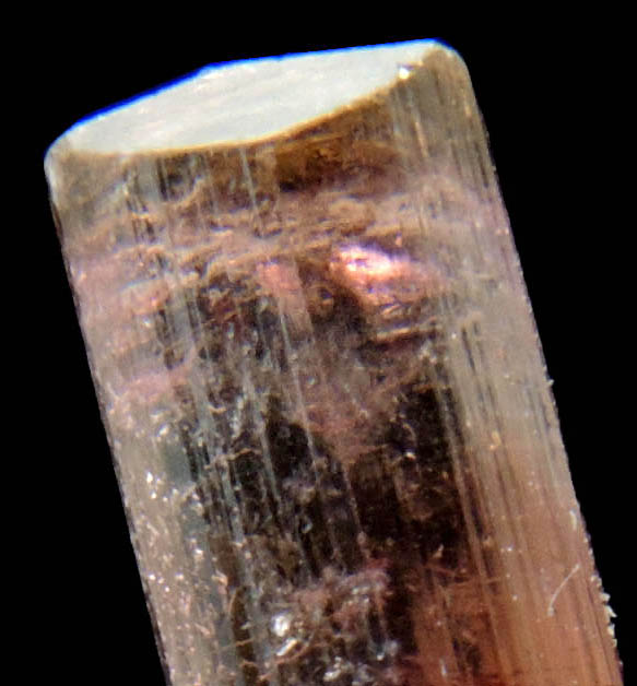 Elbaite var. Rubellite Tourmaline from Cruzeiro Mine, Santa Maria do Suacui, Minas Gerais, Brazil