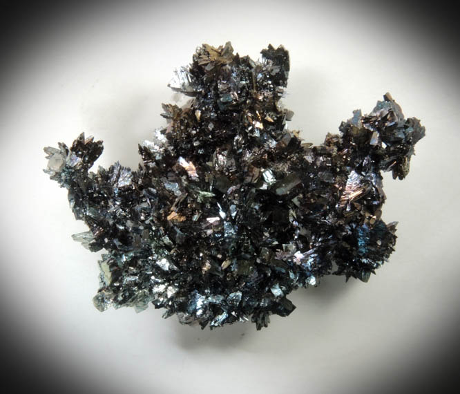 Hematite with Quartz from Miniera di Rio Marina, Isola d'Elba, Livorno, Italy