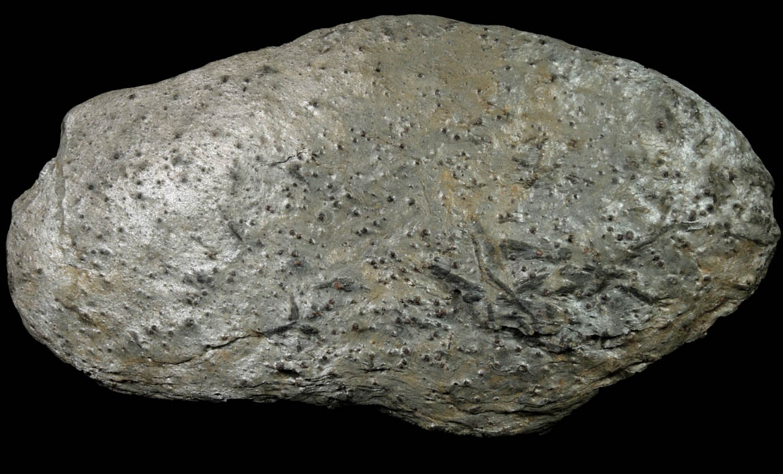 Staurolite with Almandine Garnet from Pipeline exposure, 500 m south of Diamond Lake, Glastonbury, Hartford County, Connecticut
