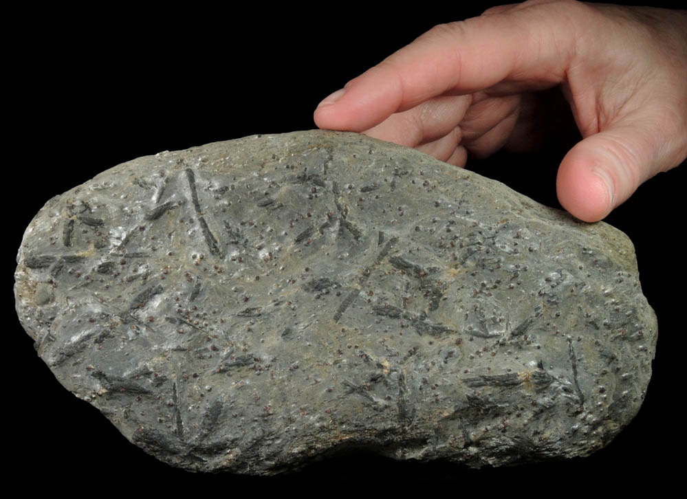 Staurolite with Almandine Garnet from Pipeline exposure, 500 m south of Diamond Lake, Glastonbury, Hartford County, Connecticut