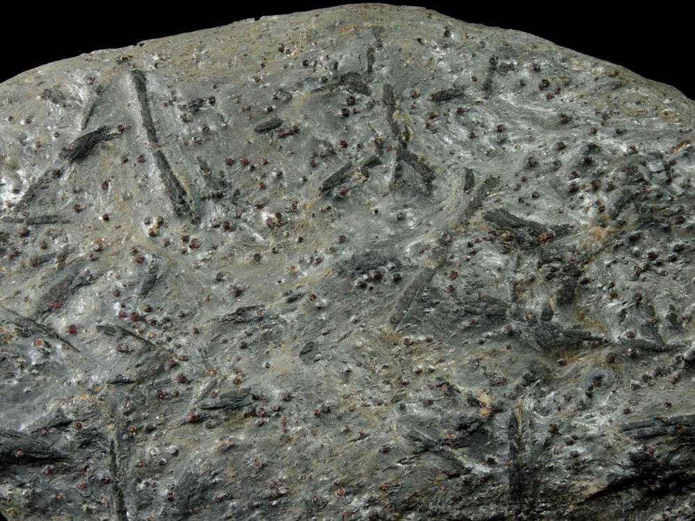 Staurolite with Almandine Garnet from Pipeline exposure, 500 m south of Diamond Lake, Glastonbury, Hartford County, Connecticut