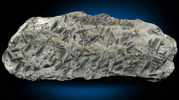 Staurolite with minor Almandine Garnet from Pipeline exposure, 500 m south of Diamond Lake, Glastonbury, Hartford County, Connecticut