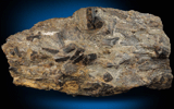 Staurolite with Almandine Garnet from Cook Road locality, Windham, Cumberland County, Maine