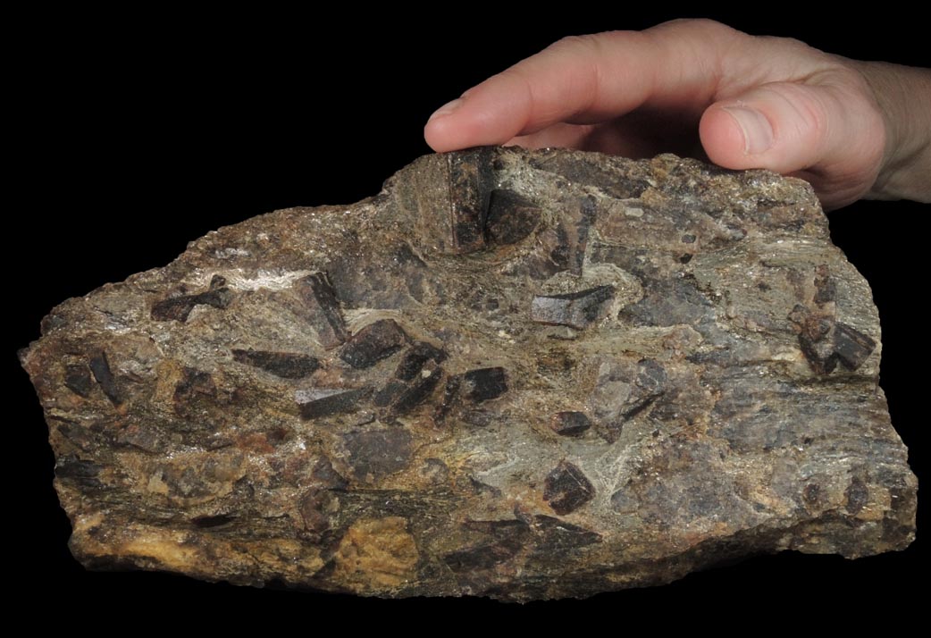 Staurolite with Almandine Garnet from Cook Road locality, Windham, Cumberland County, Maine