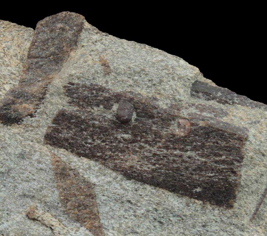 Staurolite with Almandine Garnet from Pond Hill, near Pearl Lake, Lisbon, Grafton County, New Hampshire