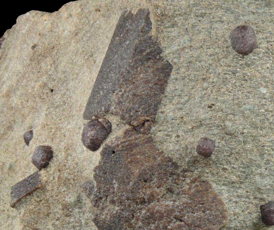 Staurolite with Almandine Garnet from Pond Hill, near Pearl Lake, Lisbon, Grafton County, New Hampshire