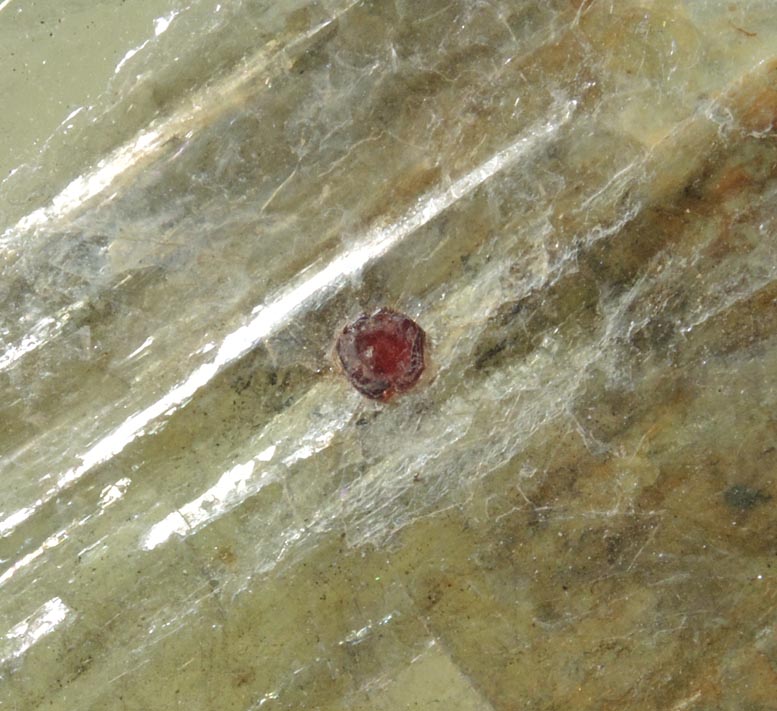 Almandine Garnet in Muscovite Mica from Strickland Quarry, Collins Hill, Portland, Middlesex County, Connecticut