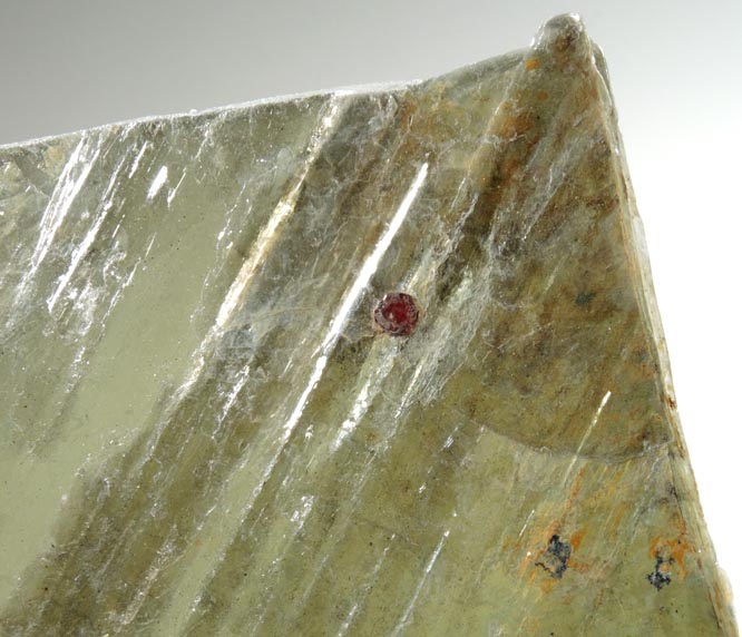 Almandine Garnet in Muscovite Mica from Strickland Quarry, Collins Hill, Portland, Middlesex County, Connecticut