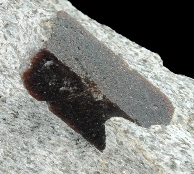 Staurolite with Almandine Garnet from Pond Hill, near Pearl Lake, Lisbon, Grafton County, New Hampshire