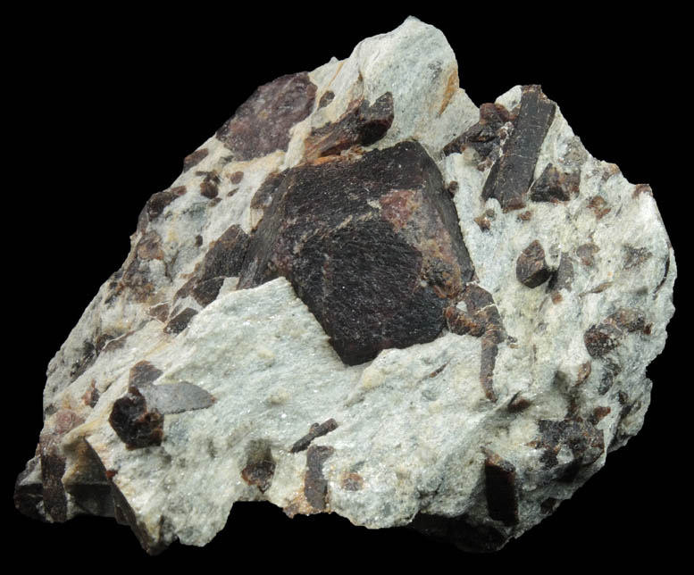 Almandine Garnet with Staurolite from Green's Farm, 750 m. ESE of Roxbury Falls, Roxbury, New Haven County, Connecticut