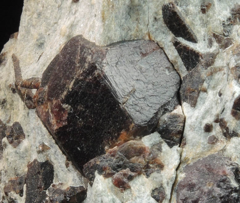 Almandine Garnet with Staurolite from Green's Farm, 750 m. ESE of Roxbury Falls, Roxbury, New Haven County, Connecticut