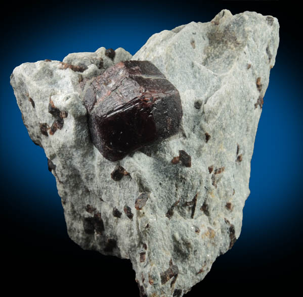 Almandine Garnet with Staurolite from Green's Farm, 750 m. ESE of Roxbury Falls, Roxbury, New Haven County, Connecticut