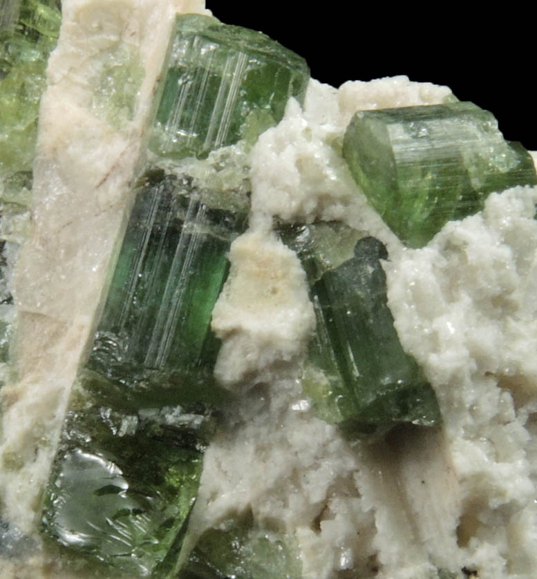 Elbaite Tourmaline in Quartz and Albite from Harvard Quarry, Noyes Mountain, Greenwood, Oxford County, Maine