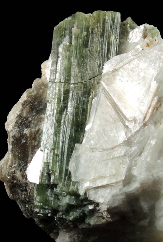 Elbaite Tourmaline in Muscovite on Albite from Harvard Quarry, Noyes Mountain, Greenwood, Oxford County, Maine