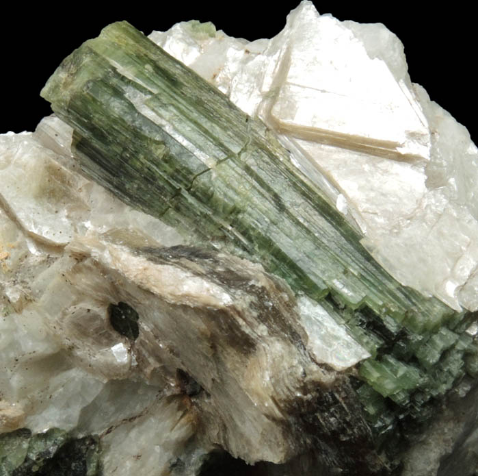 Elbaite Tourmaline in Muscovite on Albite from Harvard Quarry, Noyes Mountain, Greenwood, Oxford County, Maine