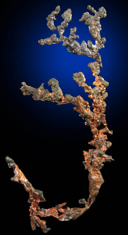 Copper (naturally crystallized native copper) from Cape Spencer, Nova Scotia, Canada