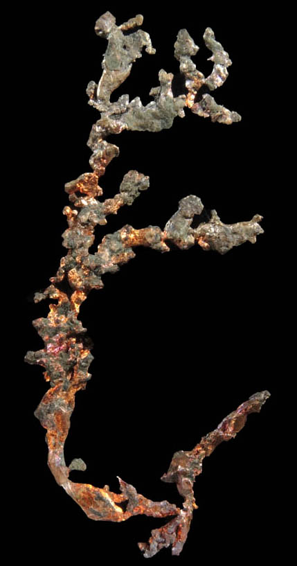 Copper (naturally crystallized native copper) from Cape Spencer, Nova Scotia, Canada