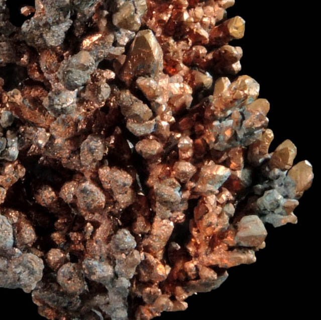 Copper (crystallized native copper) from Itauz Mine, Karaganda Oblast', Kazakhstan