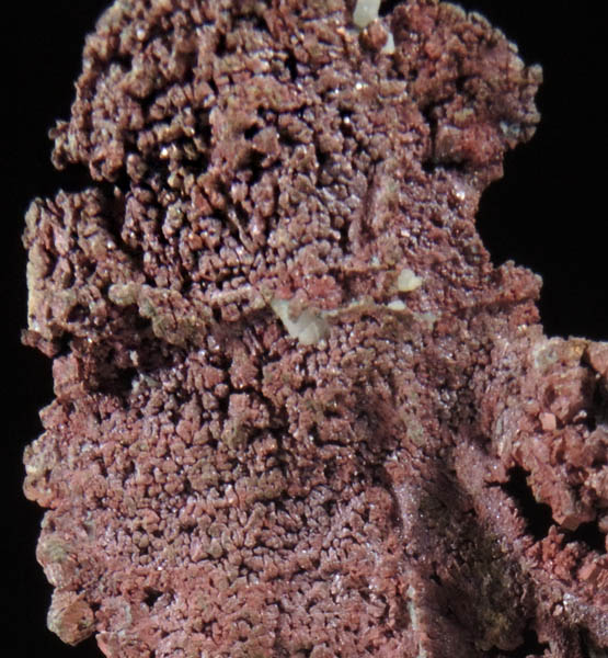 Copper (naturally crystallized native copper) on Quartz from Keweenaw Peninsula Copper District, Michigan