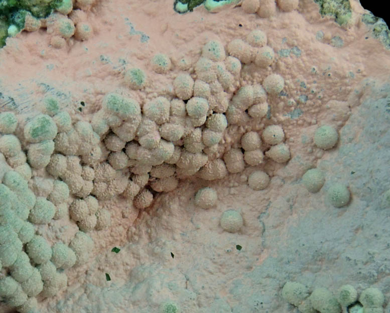 Chrysocolla from Morenci Mine, NW Extension, Clifton District, Greenlee County, Arizona