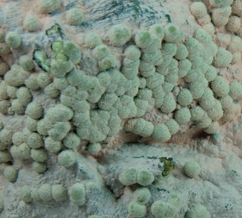 Chrysocolla from Morenci Mine, NW Extension, Clifton District, Greenlee County, Arizona