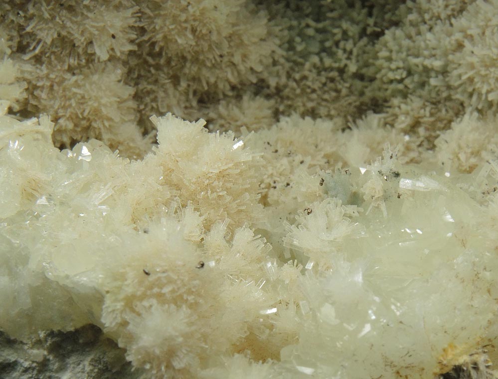 Pectolite on Datolite with Pyrite and Prehnite from Millington Quarry, State Pit, Bernards Township, Somerset County, New Jersey