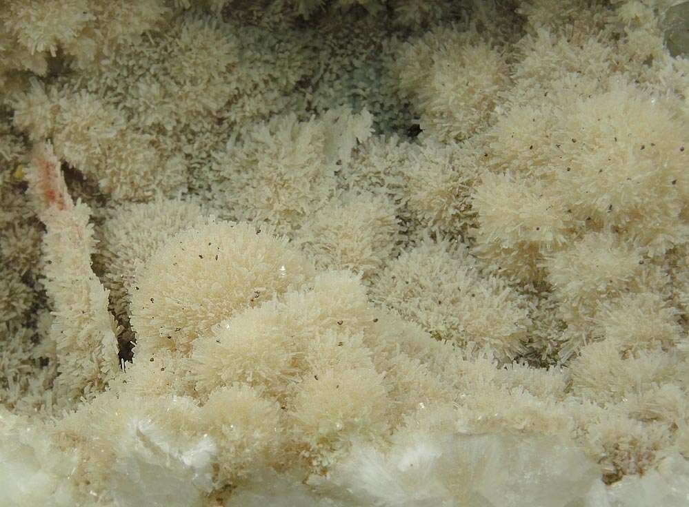 Pectolite on Datolite with Pyrite and Prehnite from Millington Quarry, State Pit, Bernards Township, Somerset County, New Jersey